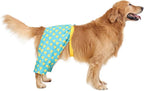 HDE Dog Swim Trunks Hawaiian Board Shorts Beach Pool Swimsuit for XS to XXL Dogs Teal Rubber Ducks - XXL