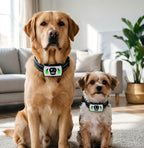 Dog Training Collar with 4 Training Modes - Dog Bark Collar with Mini Remote - Dog Shock Collar for Indoor & Outdoor, Shock Collar for Large Dog Medium Dog & Small Dog (10~120 lbs)
