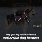WINGOIN Tactical Dog Harness for Small Dogs, No Pull Harness with Handle Pockets Poop Bag, Reflective Dog Vest, Military Service Heavy Duty Big Dog Harness for Walking Hiking Training (Pink Blue, S)