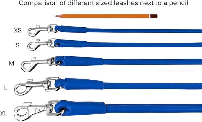 CollarDirect Rolled Leather Dog Leash 4ft, Soft Padded Training Leather Dog Lead 6ft, Puppy Leash Rolled Leather Small Medium Large Black Blue Red Orange Green Pink White (Purple, Size L 6ft)