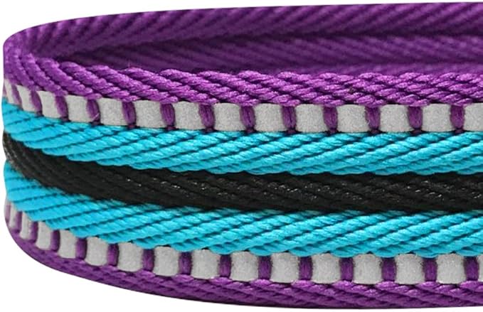 Blueberry Pet 4 Colors 3M Reflective Multi-Colored Stripe Martingale Safety Training Dog Collar, Violet and River Blue, Large, Heavy Duty Adjustable Collars for Dogs