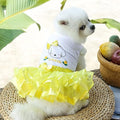 Cute Pet Frilly Dress for Dogs and Cats - Spring and Summer Fruit-Themed Party Gown for Small, Medium, and Large Breeds