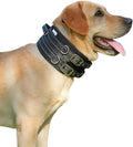 Protective Tactical Dog 4" Wide Collar for Large Dogs – Heavy-Duty Adjustable Nylon Collar with Control Handle, Quick-Release Metal Buckle & D-Ring for Training, Play & Outdoor Safety