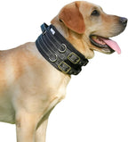 Protective Tactical Dog 4" Wide Collar for Large Dogs – Heavy-Duty Adjustable Nylon Collar with Control Handle, Quick-Release Metal Buckle & D-Ring for Training, Play & Outdoor Safety