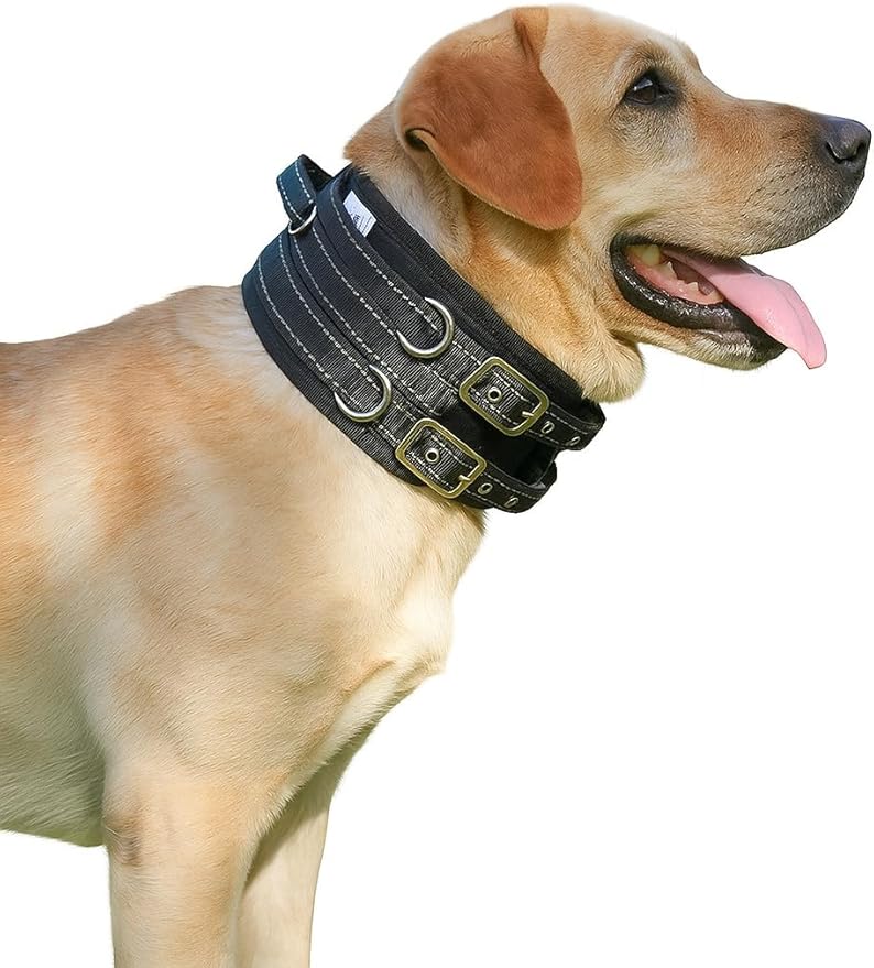 Protective Tactical Dog 4" Wide Collar for Large Dogs – Heavy-Duty Adjustable Nylon Collar with Control Handle, Quick-Release Metal Buckle & D-Ring for Training, Play & Outdoor Safety
