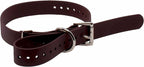 Educator 1-Inch Dog Training Collar Strap – ONLY Fits FE-580, ET-800 & UL-1200 Receivers – NOT Compatible with Mini Educator (ET-300/ET-400) – Durable Biothane Collar, Brown