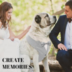 AVERYDAY Dog Tuxedo for Wedding Outfit, Dog Suit and Tie Costumes for Birthday, Halloween, Cosplay, Christmas Party, Pet Formal Wear with Bowtie, Tux for Medium Large Dogs, Bulldog, Labrador, Husky