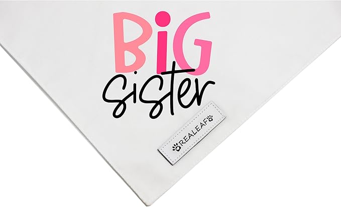 Realeaf Big Brother Big Sister Dog Bandanas Pet Scarf for Medium and Large Dogs New Baby Announcement Pet Accessories Pregnancy Reveal Ideas (Large)