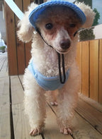 Round Brim Princess Hat Visor Hat Pet Dog Mesh Porous Sun Hat with Ear Holes for Small, Extra Small Dog Teddy, Pug, Chihuahua, Shih Tzu, Yorkshire Terriers, Papillon Blue M