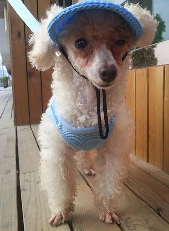 Round Brim Princess Hat Visor Hat Pet Dog Mesh Porous Sun Hat with Ear Holes for Small, Extra Small Dog Teddy, Pug, Chihuahua, Shih Tzu, Yorkshire Terriers, Papillon Blue L