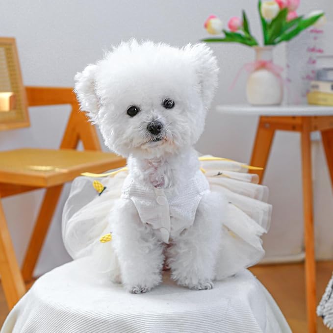 Furbabycare® Elegant Sweet Pineapple Puppy Dog Blingbling Princess Skirt Pet Dog Lace Cake Camisole Tutu Dress D-Pineapple X-Small