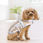 Namsan Medium-Large Dog Coat for Winter, Fleece Dog Jackets with Leash Hole Large Breeds, Warm Doggie Coats for Medium Dogs, Dogs Vest with Adjustable Magic Tape, Easy to Wear, L