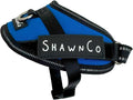 ShawnCo Essential Pro Dog Harness, No-Pull Pet Vest with 3 Leash Clips and Removable, Reflective Side Patches, Adjustable and Padded Harness for Small, Medium and Large Dogs (Electric Blue, XS)