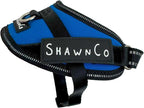 ShawnCo Essential Pro Dog Harness, No-Pull Pet Vest with 3 Leash Clips and Removable, Reflective Side Patches, Adjustable and Padded Harness for Small, Medium and Large Dogs (Electric Blue, XS)