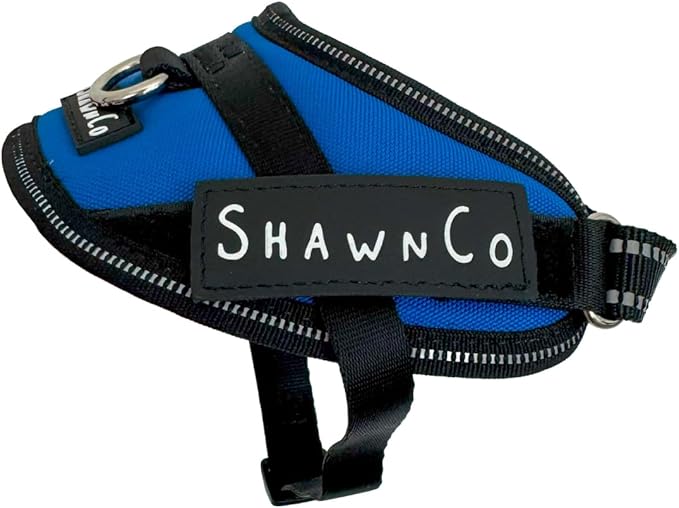 ShawnCo Essential Pro Dog Harness, No-Pull Pet Vest with 3 Leash Clips and Removable, Reflective Side Patches, Adjustable and Padded Harness for Small, Medium and Large Dogs (Electric Blue, XS)