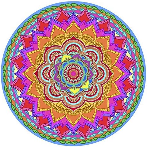 Screen Door Magnets Double Sided – Keep People, Kids, and Dogs from Running into a Screen Door. Saver - Robbins Aria Rainbow Mandala