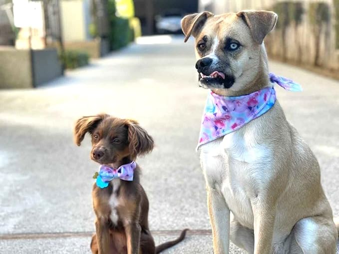 Elegant Little Tail Bandana for Boy Girl Small Medium Large Dogs, Comfortable Bibs Scarf, Adjustable Square Kerchief