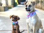 Elegant Little Tail Dog Bandanas - Comfortable Adjustable Square Kerchiefs for Boys & Girls, Small to Large Dogs
