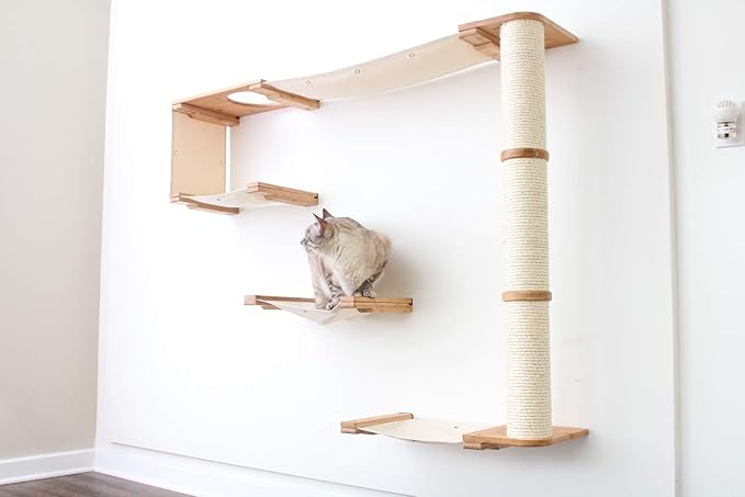 CatastrophiCreations Climb - Multiple-Level Cat Hammock & Climbing Activity Center Wall-Mounted Cat Tree Shelves