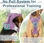 BARKBAY Dog Harness No Pull Oxford with ID Tag Pocket - Heavy Duty, Reflective, Easy Control for Large Dogs(Violet Purple Oxford,XS)