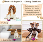 2 Pack Dog Bells, Puppy Potty Training Bell Dog Doorbell Potty Train Dog Bell for Potty Training Door Bells for Dogs to Ring to Go Outside Jingle Bells (Dark Purple)