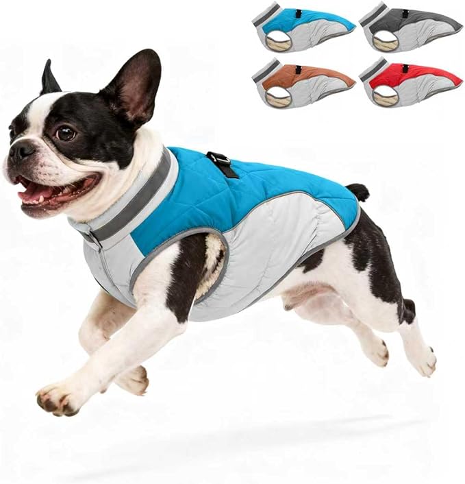 Dog Winter Coat for Small Dogs, Adjustable Puppy Warm Jackets in Cold Weather, Reflective Pet Fleece Vest with External Attachment Points, ZippeBlue Cold-Weather Dog Winter Clothes, S Blue