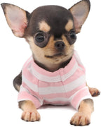 LOPHIPETS 100% Breathable Cotton Striped Dog Tee Shirt T-Shirt for Small Dogs Teacup Chihuahua Yorkie Puppy Clothes -Pink and White Strips/XXS