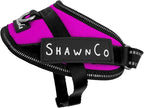 ShawnCo Essential Pro Dog Harness, No-Pull Pet Vest with 3 Leash Clips and Removable, Reflective Side Patches, Adjustable and Padded Harness for Small, Medium and Large Dogs (Orchid, XS)