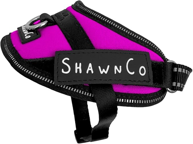 ShawnCo Essential Pro Dog Harness, No-Pull Pet Vest with 3 Leash Clips and Removable, Reflective Side Patches, Adjustable and Padded Harness for Small, Medium and Large Dogs (Orchid, XS)