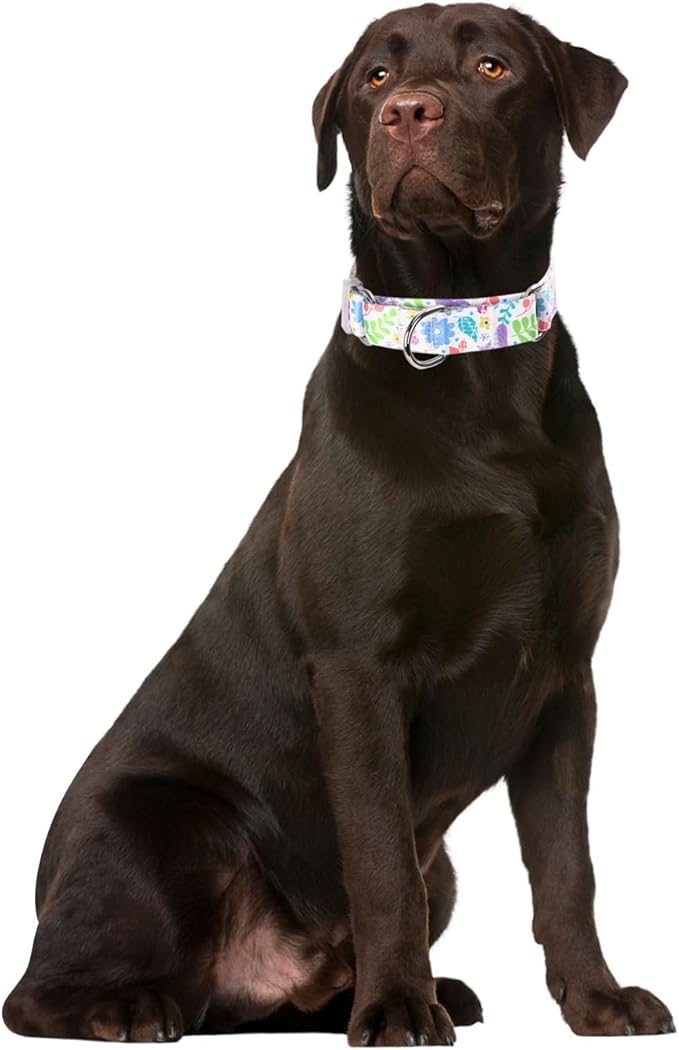Martingale Dog Collar, Flowers and Plants Print No-Slip Escape Proof Choke No Pull Soft Nylon Training Dog Collars for Small Medium Large Breed Pet Dogs, S