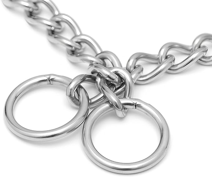 Stainless Steel Choke Chain for Dogs, Metal Slip P-Link Training Heavy Duty Dog Choke Collar Puppy Collars for Small Medium Large Big XL Breed Dogs, Silver L