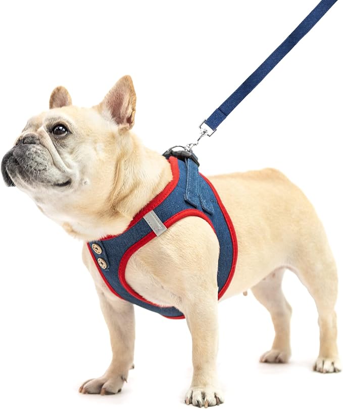 PUPTECK Dog Harness and Leash Set for Small Medium Dogs No Pull Step-in Soft Mesh Puppy Cat Vest Harnesses Reflective at Night, Denim NavyBlue S