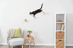 Trixie Wall Mount XXL Cat Climbing Steps, Cat Furniture, Scratching Post, 3pcs, Brown