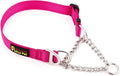 Plutus Pet Martingale Dog Collar with Stainless Steel Chain and Reflective Nylon, Adjustable No Pull Training Collar, for Small Medium, and Large Dogs, Hot Pink, M