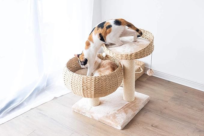 PetPals 23" High Handwoven Recycled Paper Rope Baskets Bed and Perch, Sisal Scratching Post, Playful Teaser Toy, Washable Cushion, for Indoor Cats (Beige)
