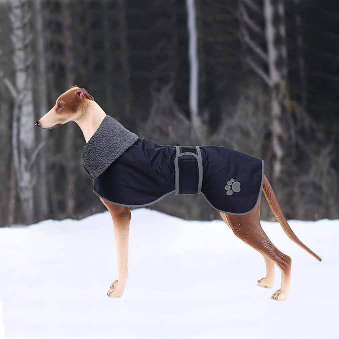 Geyecete Dog Winter Coat Greyhound Raincoat Fabric with Lamb Velvet Inside Outdoor Dog Apparel with Adjustable Bands for Medium, Large Dog-Navy-S