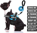Service Dog Harness (Medium, Light Blue) with Reflective Strips, Leash, and 10 Patches, for Dog Training and Walking