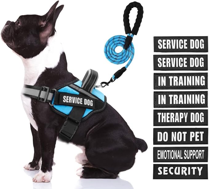 Service Dog Harness (Medium, Light Blue) with Reflective Strips, Leash, and 10 Patches, for Dog Training and Walking