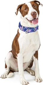 Martingale Collar for Dogs - No Slip Choke Heavy Duty Collar with Reflective Nylon, Quick Release Buckle & Bohemian Floral Pattern for Training, Walking & Overexcited Dogs M