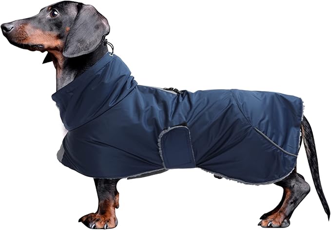 Dachshund Coats Waterproof, Perfect for Dachshunds, Sausage, Weiner Dog Winter Coat with Padded Fleece, Puppy Snowsuit with Adjustable Bands and High Vis Reflective Trim - Navy - L