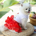 Cute Pet Frilly Dress for Dogs and Cats - Spring and Summer Fruit-Themed Party Gown for Small, Medium, and Large Breeds