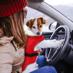 EMUST Dog Coat for Winter, Cozy Winter Jackets for Small/Medium/Large Dogs, Solid Color Dog Apparel for Cold Weather with Fleece Lining, Red, XXXL
