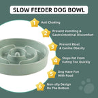 Ceramic 3.2 Cup Slow Feeder Dog Bowl for Large Dog, 9.5inch Puzzle Food Dish, Anti-Gulping, Stop Bloat, Preventing Choking (Single Bowl-Light Green)