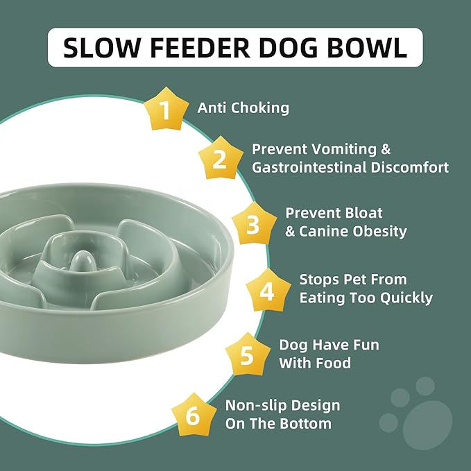 Ceramic 3.2 Cup Slow Feeder Dog Bowl for Large Dog, 9.5inch Puzzle Food Dish, Anti-Gulping, Stop Bloat, Preventing Choking (Single Bowl-Light Green)