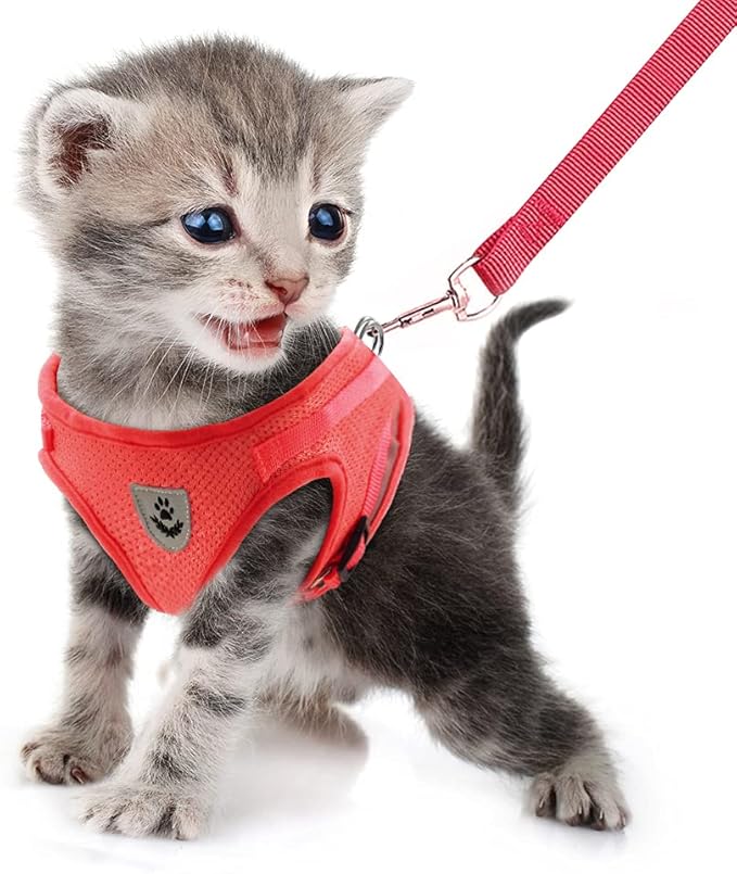 FEimaX Dog Harness and Leash Set for Walking, Soft Mesh Adjustable Easy Control Lightweight Cat Vest Harnesses with Reflective Strips, Escape Proof Small Dogs Cats Vests (Red, Medium)