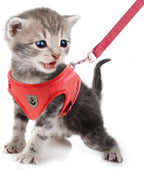 FEimaX Dog Harness and Leash Set for Walking, Soft Mesh Adjustable Easy Control Lightweight Cat Vest Harnesses with Reflective Strips, Escape Proof Small Dogs Cats Vests (Red, Medium)