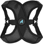 Gooby Comfort X Step in Lite Dog Harness - Choke Free, Escape Free with Light Breathable Mesh - Step in Dog Harness for Small Dogs Only - Quick Release Buckle, Metal D-Rings - Black, X-Small