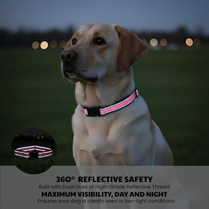 Training Collar Replacement Straps Adjustable Nylon Bands for E-Collars & Shock Collars, 2-Pack (Orange&Pink) - Dog Collar Accessory Fits Most 3/4 Inch Electronic Training Collars