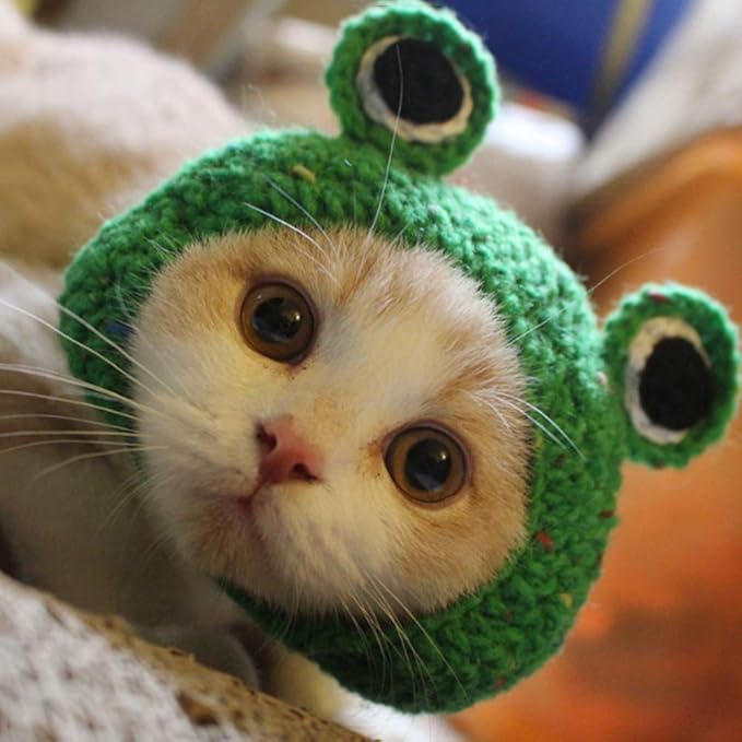 Adorable Pet Funny Hat Cartoon Frog Shape Pet Cap Weaving Puppy Cat Hat Pet Grooming Supplies for Everyday Decoration Christmas Halloween Decoration Use 1PCS