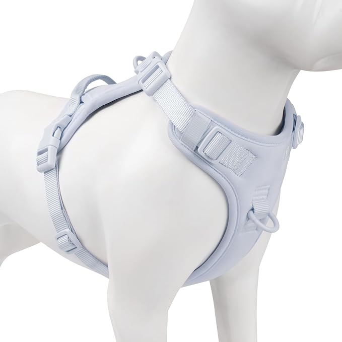 No Pull Dog Harness, Puppy Vest with Front Clip for Small Medium Large Sized Dog(Light Blue,S)